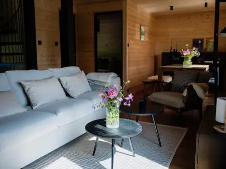 Chalet moderne avec cheminée et animaux bienvenus proche de Gérardmer - Photo 12