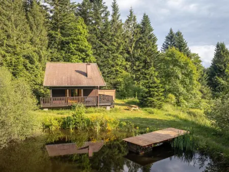 Chalet moderne avec cheminée et animaux bienvenus proche de Gérardmer - Photo 23