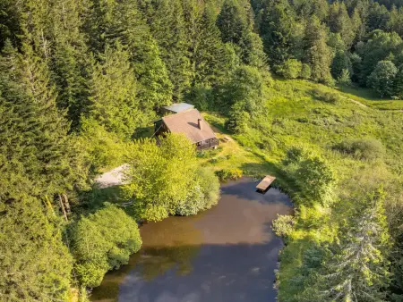 Chalet moderne avec cheminée et animaux bienvenus proche de Gérardmer - Photo 28