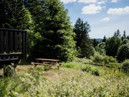 Chalet moderne avec cheminée et animaux bienvenus proche de Gérardmer - Photo 29