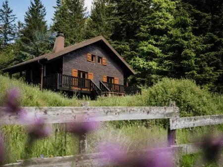 Chalet moderne avec cheminée et animaux bienvenus proche de Gérardmer - Photo 30