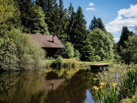 Chalet moderne avec cheminée et animaux bienvenus proche de Gérardmer - Photo 33