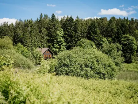 Chalet moderne avec cheminée et animaux bienvenus proche de Gérardmer - Photo 34