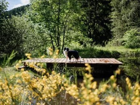 Chalet moderne avec cheminée et animaux bienvenus proche de Gérardmer - Photo 35