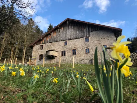 Location appartement à Sapois, Gîte Tranquille à la Ferme Vosgienne avec Parking
