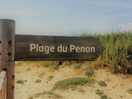 T3 Seignosse bord de mer avec balcon et parking gratuit : photo 22