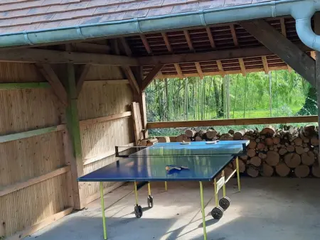 Gîte Moulin de Boisseau à Vinon : spa, billard, ping-pong : photo 26