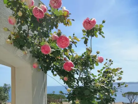 La Meréveil, Villa de luxe avec piscine privée, vue mer - Photo 36