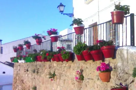 Casilla Daleá, Maison de vacances à Carcabuey - Photo 16