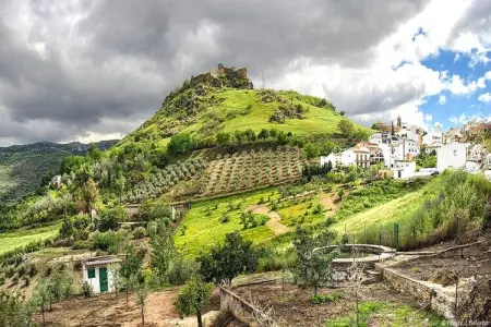 Casilla Daleá, Maison de vacances à Carcabuey - Photo 30