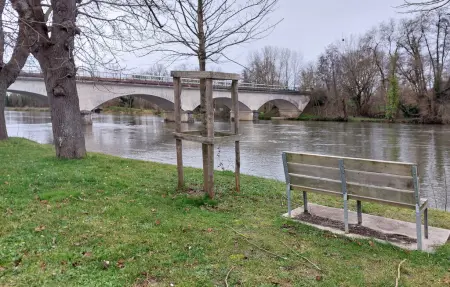 The River House : maison piscine au bord de la Charente : photo 14