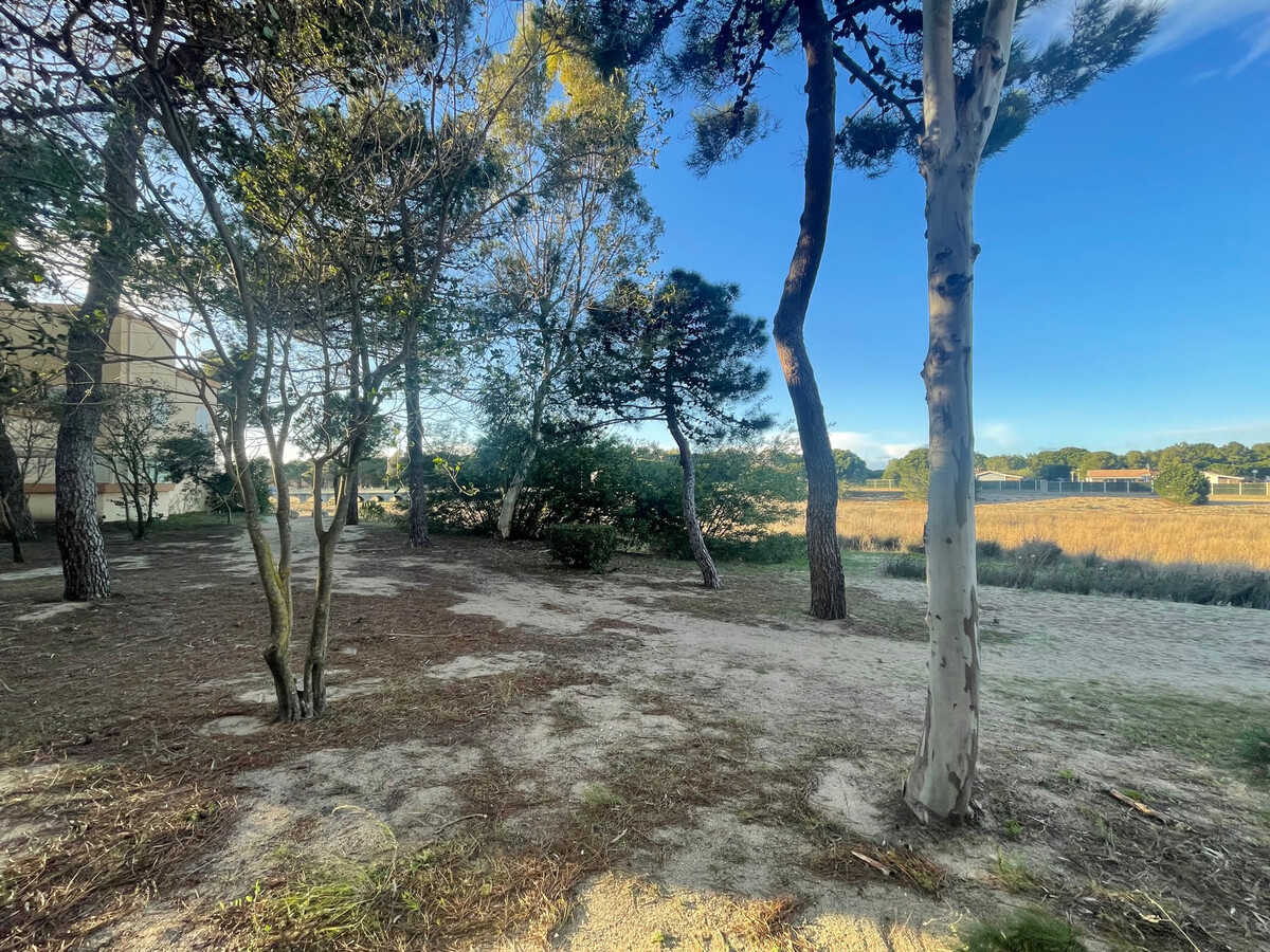 T2 Argelès-sur-Mer, à quelques mètres de la plage - Photo 15