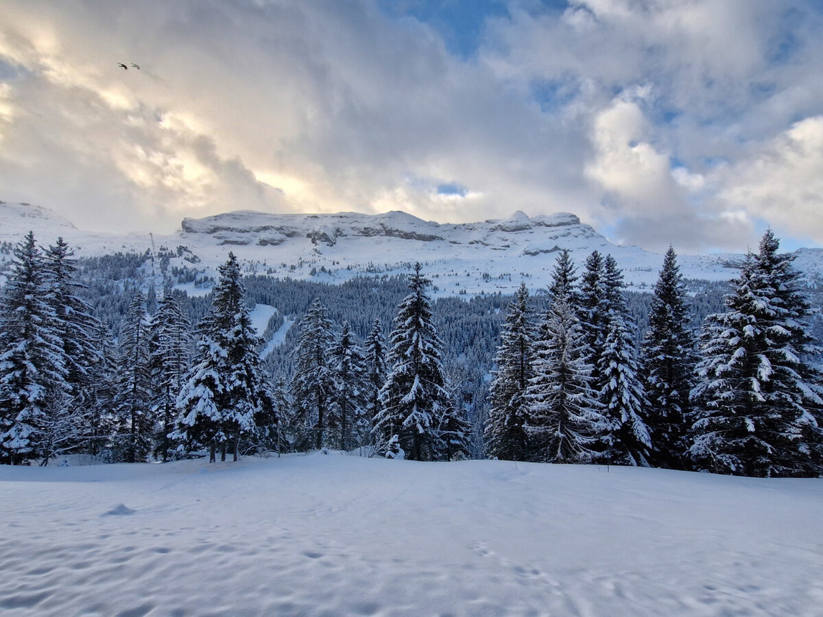 Appartement 6 pers, balcon sud, vue domaine skiable - Photo 16