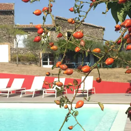 Maison spacieuse avec piscine à Saint-Lager-Bressac - Photo 1
