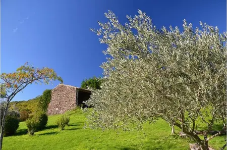 Maison spacieuse avec piscine à Saint-Lager-Bressac - Photo 47