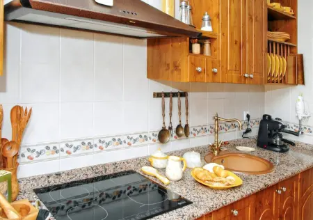 Maison familiale avec terrasse et four à bois à Ávila : photo 4