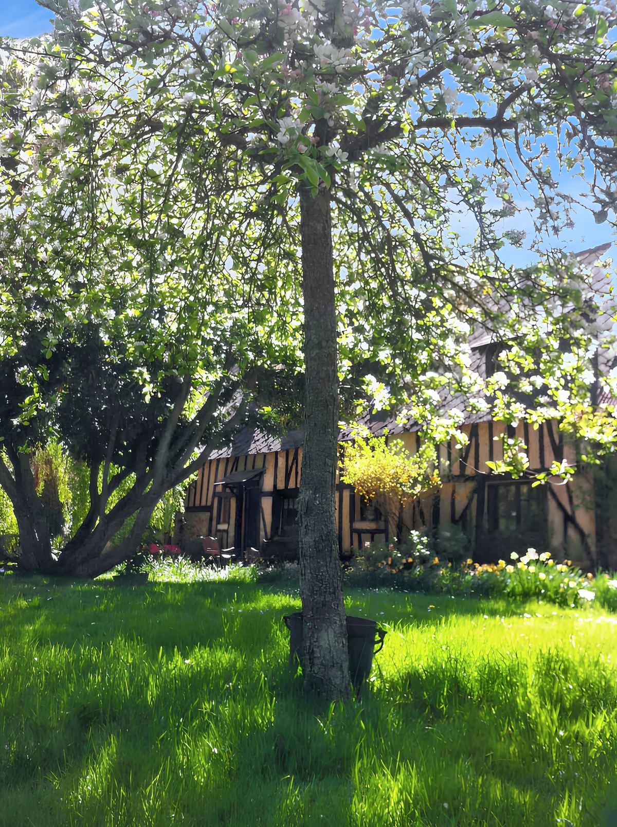Maison 4 chambres avec jardin et barbecue à Dame-Marie - Photo 8