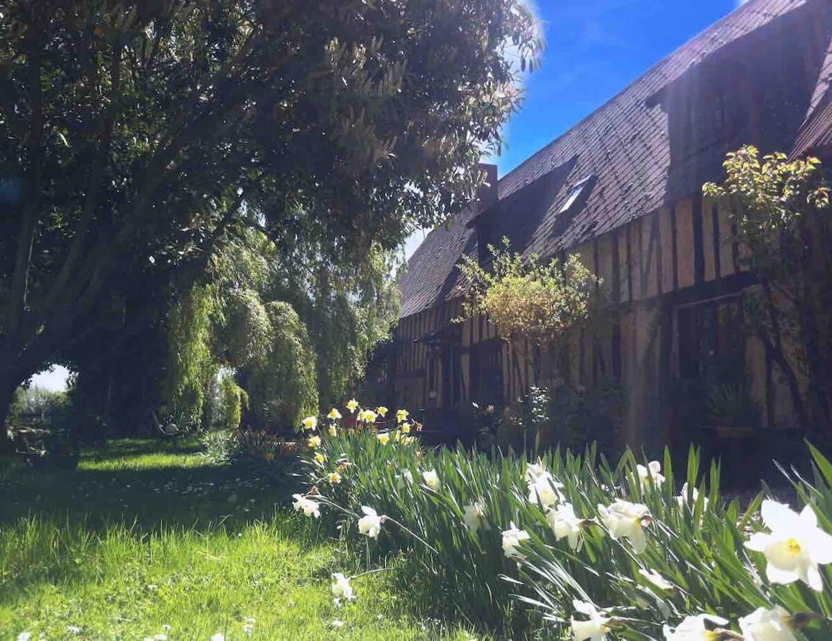Maison 4 chambres avec jardin et barbecue à Dame-Marie - Photo 10