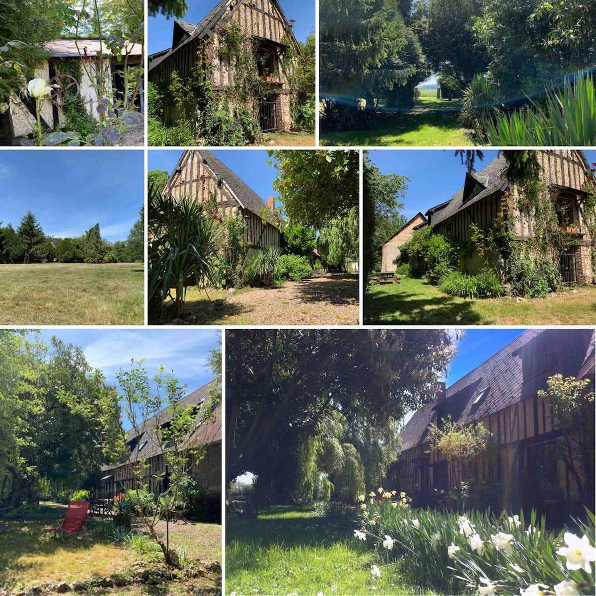 Maison 4 chambres avec jardin et barbecue à Dame-Marie - Photo 15