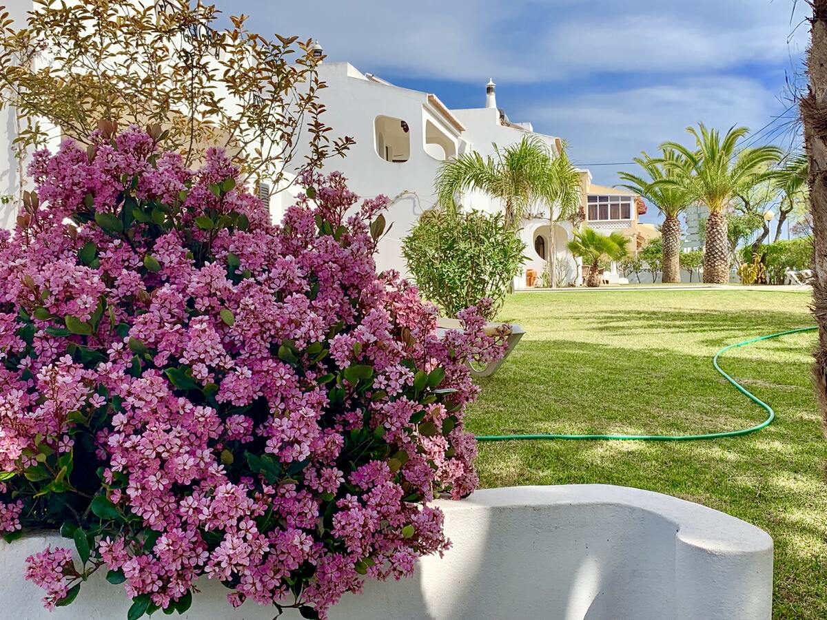 Maison 120 m² Carvoeiro : piscine et plage à 7 min - Photo 24
