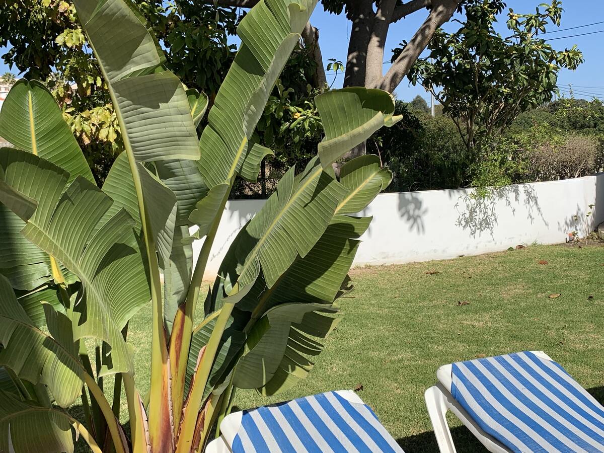 Maison 120 m² Carvoeiro : piscine et plage à 7 min - Photo 27