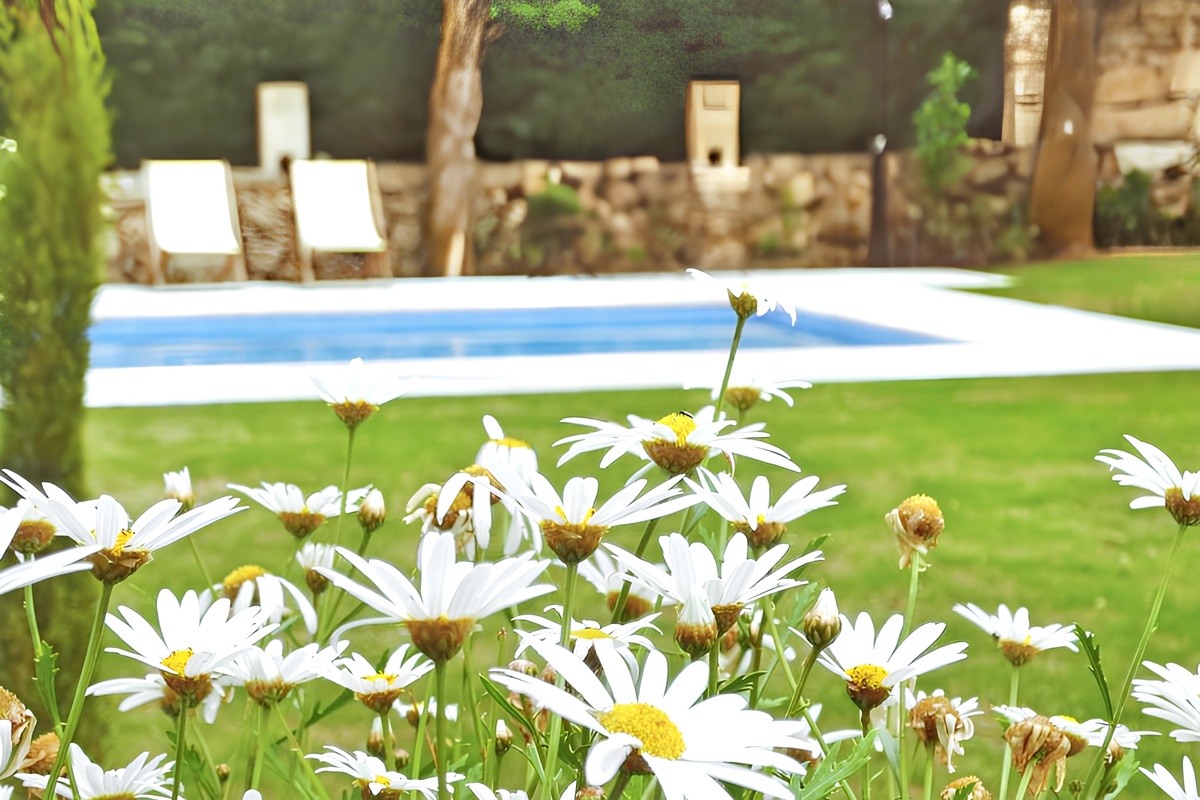 Maison 7 pers., piscine toute l'année à Vouzela - Photo 27
