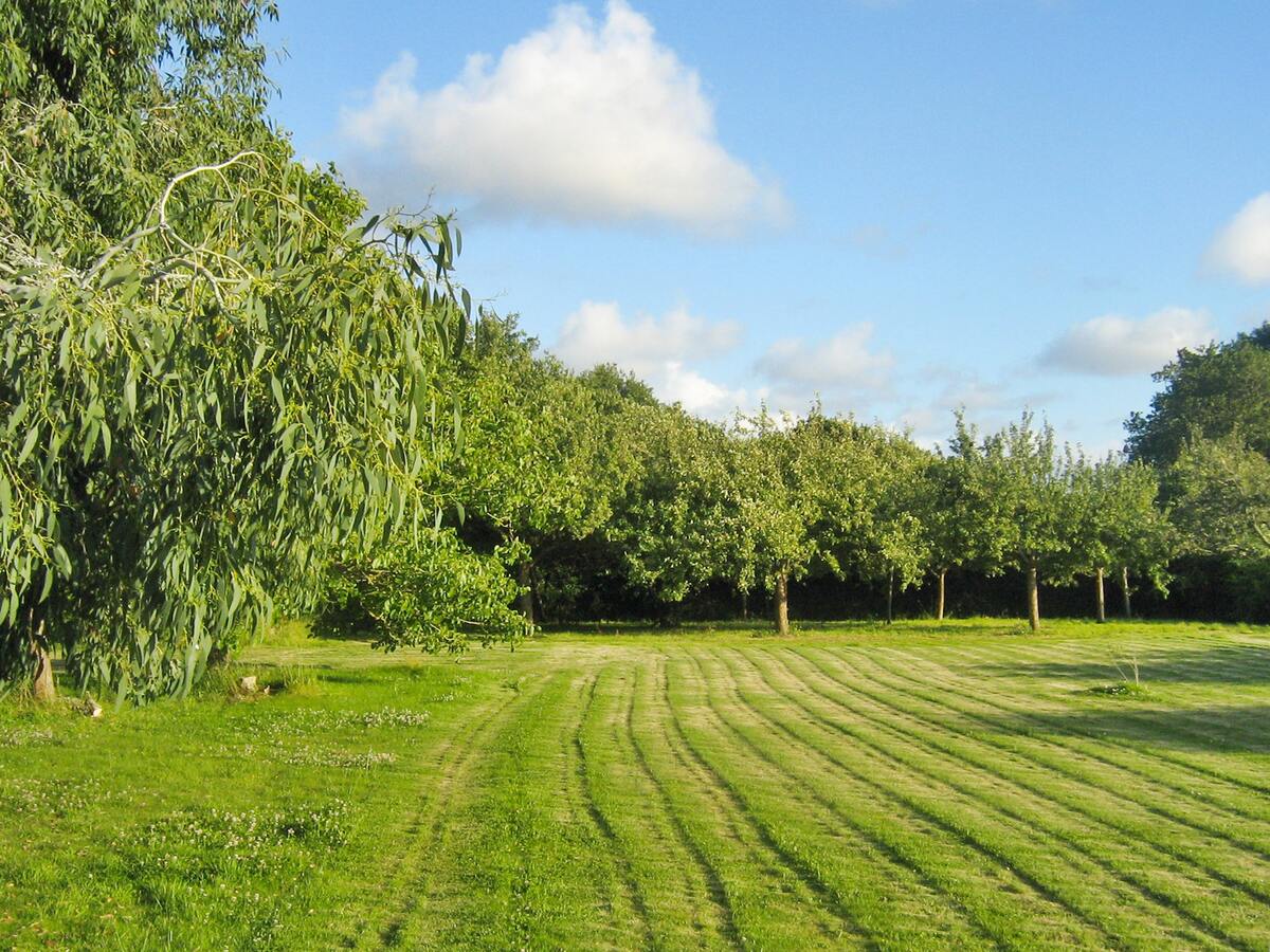Maison 50 m² avec jardin et terrasse, 300 m de la plage - Photo 24