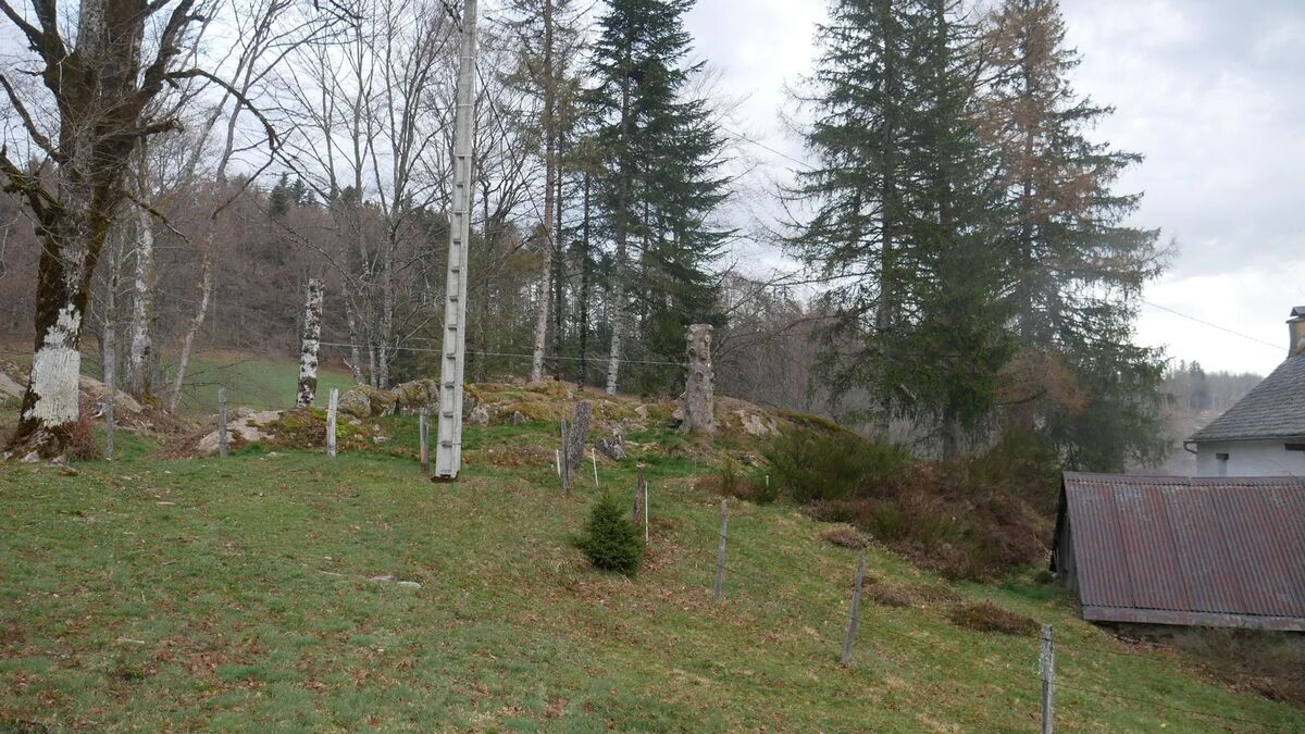Maison 110 m² Saint-Gènes-Champespe, accès direct au lac - Photo 20