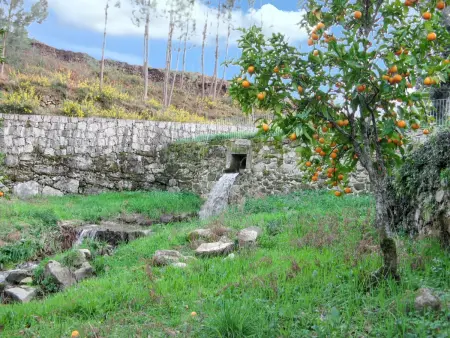 Maison de charme à Covelas avec piscine partagée - Photo 34