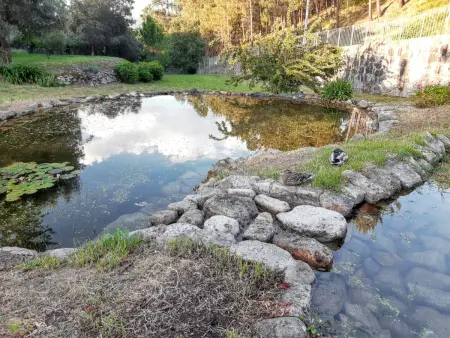 Maison de charme à Covelas avec piscine partagée - Photo 37