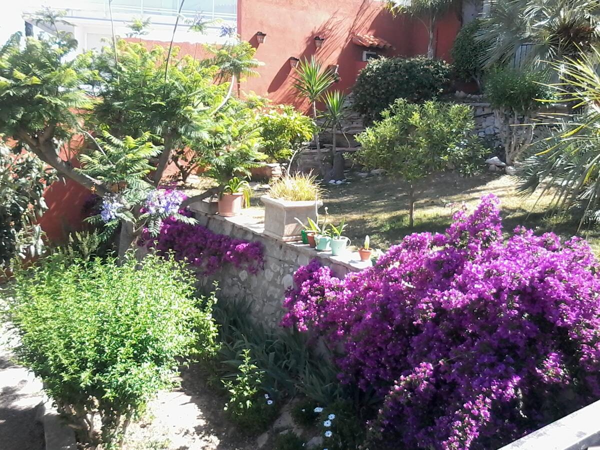 Appartement 90 m² Peñíscola, piscine et terrasse - Photo 17