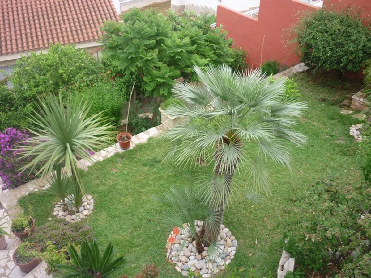 Appartement 90 m² Peñíscola, piscine et terrasse - Photo 18