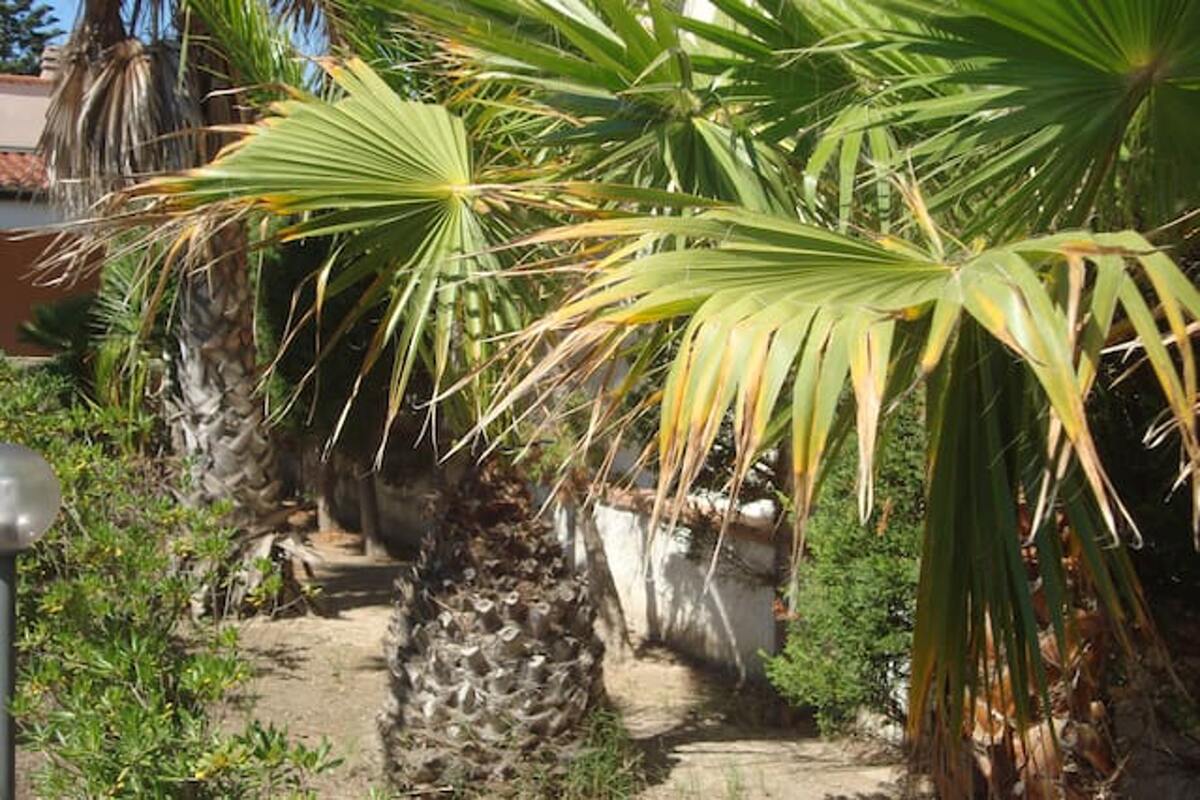 Maison 5 pers. avec cheminée et jardin à Santa Maria del Focallo - Photo 12