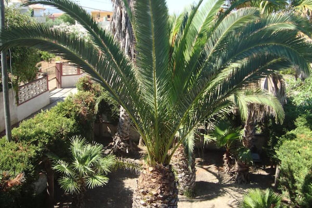 Maison 5 pers. avec cheminée et jardin à Santa Maria del Focallo - Photo 14