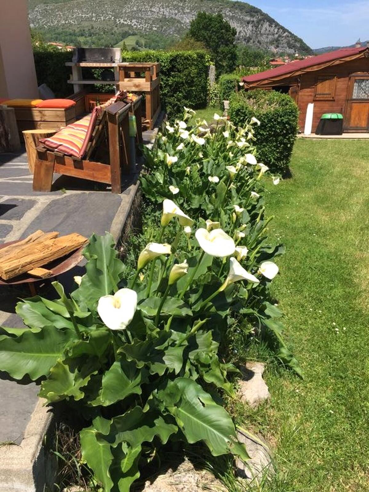 Villa 12 pers. Foix – Piscine, jacuzzi et vue montagne - Photo 9