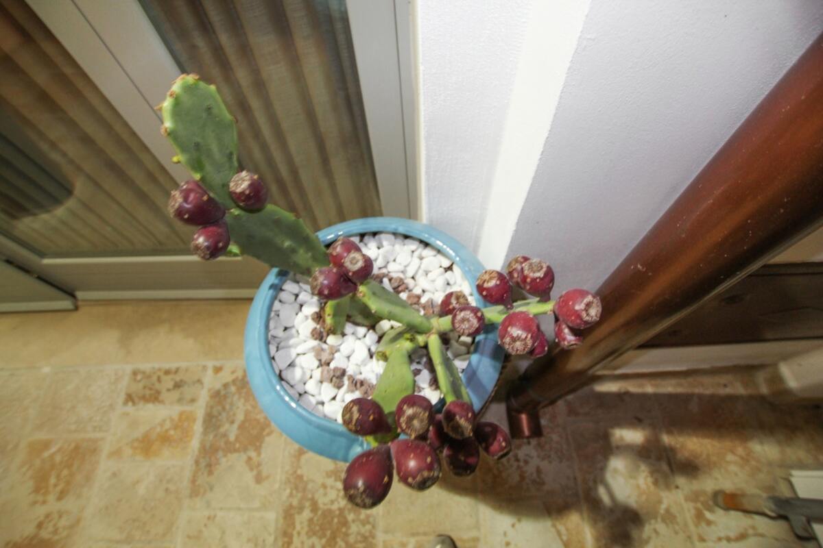 Appartement 6 pers. cœur d'Alberobello avec cheminée - Photo 35