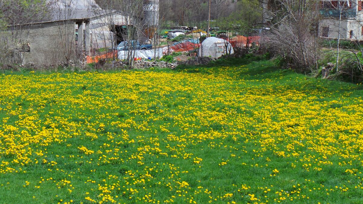 Maison 9 pers., jardin & vue montagne à Bellver - Photo 66