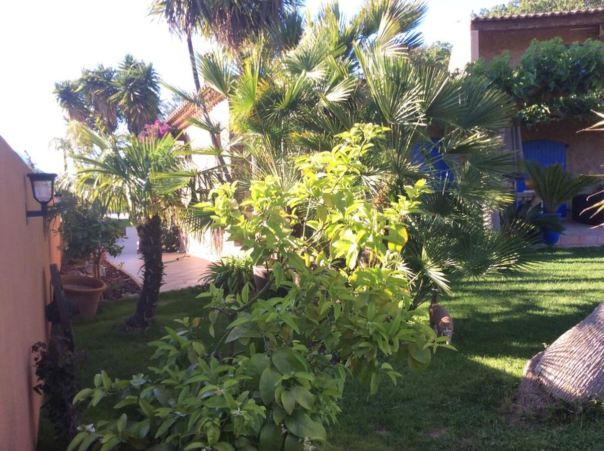Villa 12 pers., 5 chambres, piscine privée à Carqueiranne - Photo 34