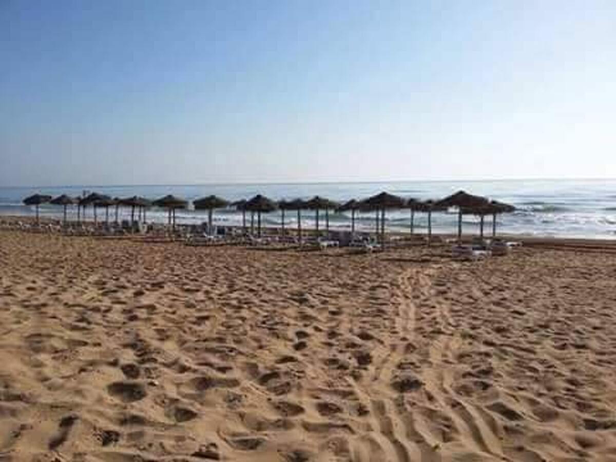 Appartement vue mer avec piscine partagée à La Mata - Photo 18