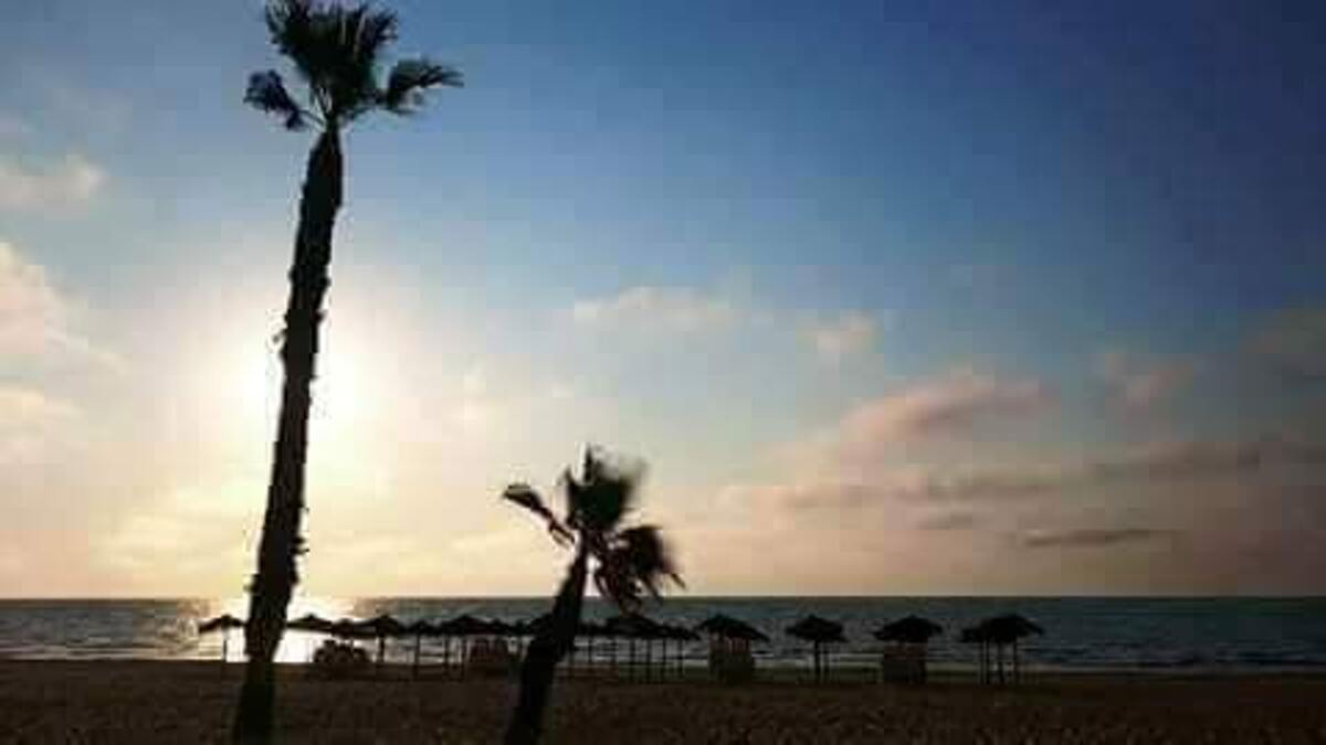 Appartement vue mer avec piscine partagée à La Mata - Photo 20