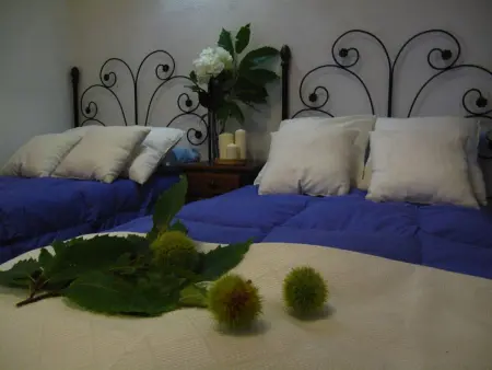 Villa paisible à Monesterio avec piscine privée - Photo 22