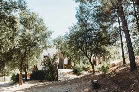 Villa paisible à Monesterio avec piscine privée - Photo 28