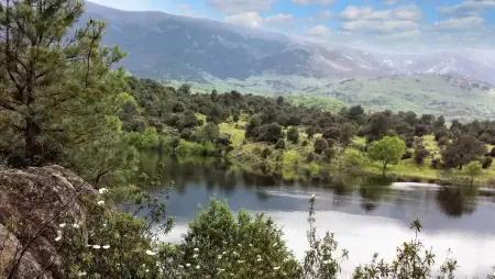 Maison de 6 chambres avec vue sur le lac à Navaluenga : photo 16