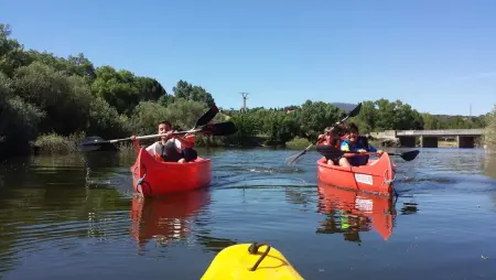 Maison de 6 chambres avec vue sur le lac à Navaluenga : photo 19