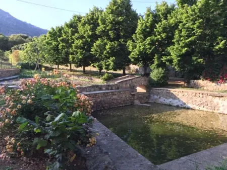 Appartement confortable à Moltifao, vue sur montagne, 50 m² - Photo 21