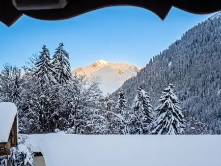 Appartement 64 m² à Hauteluce, vue montagne et jardin barbecue : photo 18