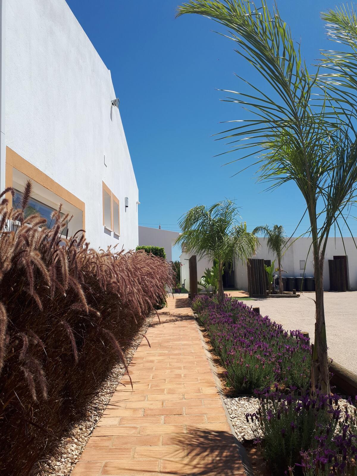 Maison avec piscine partagée à Faro, pour 4 personnes - Photo 13