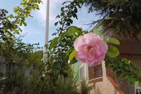Villa magnifique à Caccamo + Piscine, Villa 7 personnes à Caccamo - Photo 19