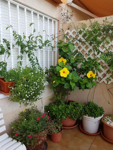 Appartement spacieux à El Campello, 120 m², piscine partagée - Photo 36