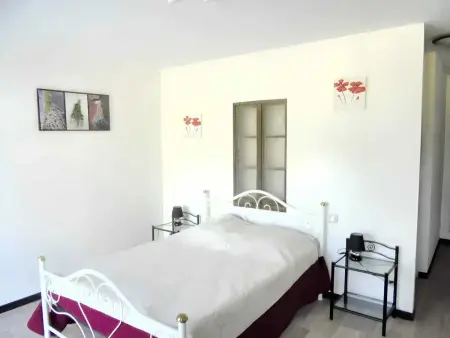 Maison spacieuse à Castelnau-de-Mandailles avec cheminée 250 m² - Photo 21